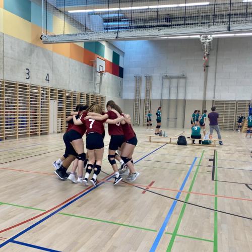 SL VB