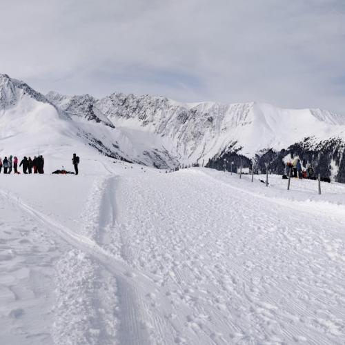 Lawinen Workshop 2026