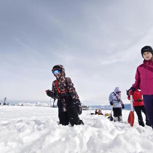 Lawinen Workshop 2026