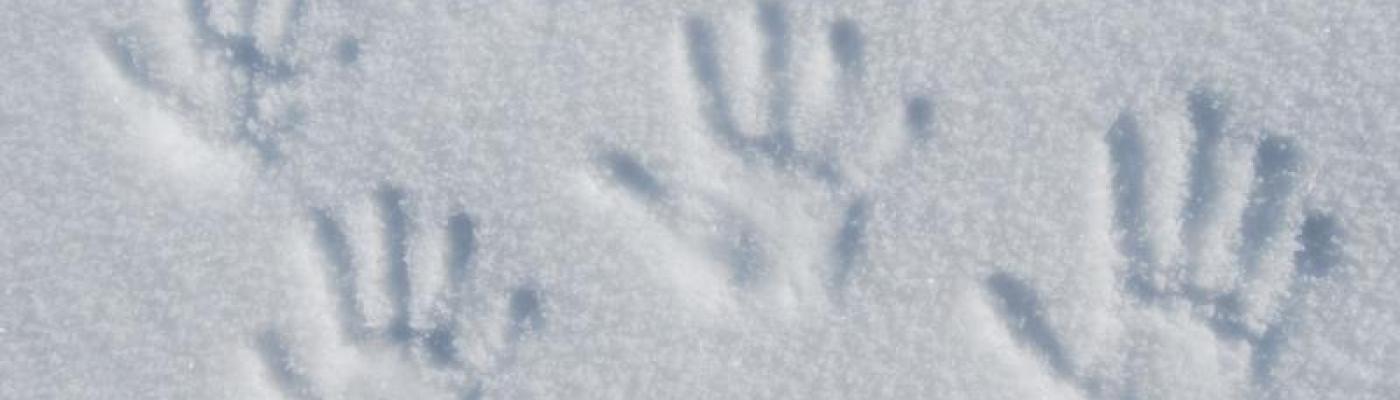 Händeabdrücke im Schnee