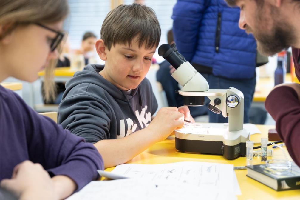 Schüler beim Insektenbestimmen mittel Mikroskop