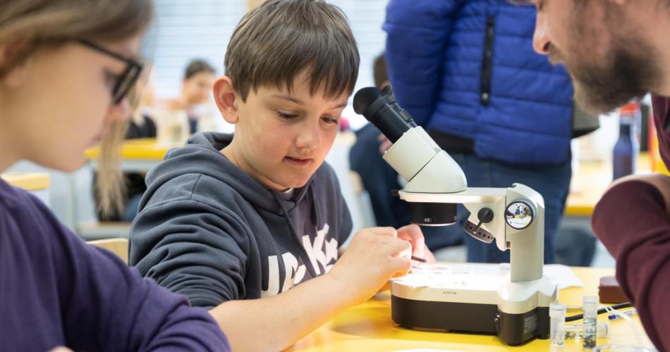 Schüler beim Insektenbestimmen mittels Mikroskop