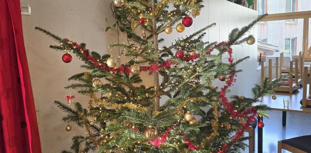 Christbaum Christbaum